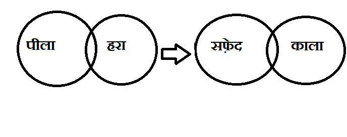 SBI Clerk paper 2 reasoning q - 62- hindi