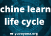 Machine Learning Life Cycle
