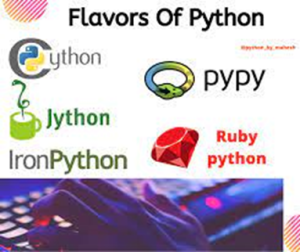 A brief History of Python with development life cycle