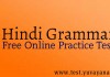 Hindi Vyakarn practice test paper