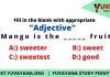 adjective question answer free download