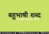 बहुभाषी शब्द hindi vyakaran quiz