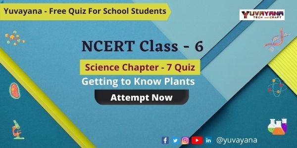 NCERT Class 6 Science Chapter 7 Quiz : Getting to Know Plants