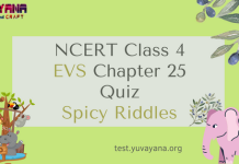 NCERT Class 4 EVS MCQ Test Chapter 25 : Spicy Riddles
