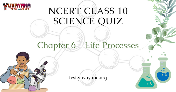 case study questions for class 6 science chapter 10