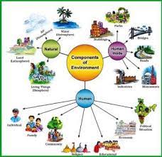 NCERT Class 7 Geography Chapter 1 MCQ Test With Answers - Environment