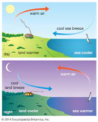 NCERT Class 7 Science Chapter 4 MCQ Test with answers: Heat